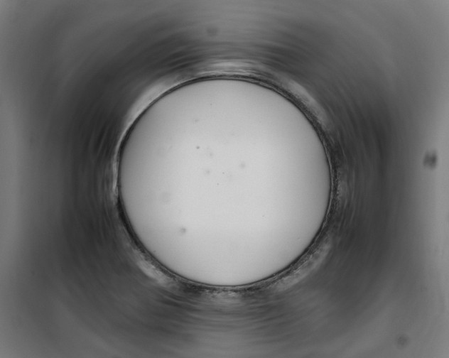 X0000100341370200807031248