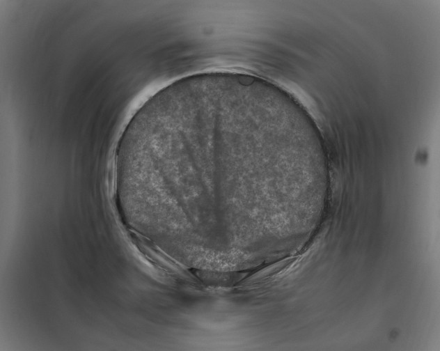 X0000100341371200807031248