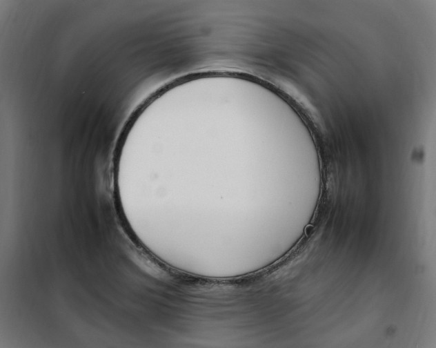 X0000100341372200807031248