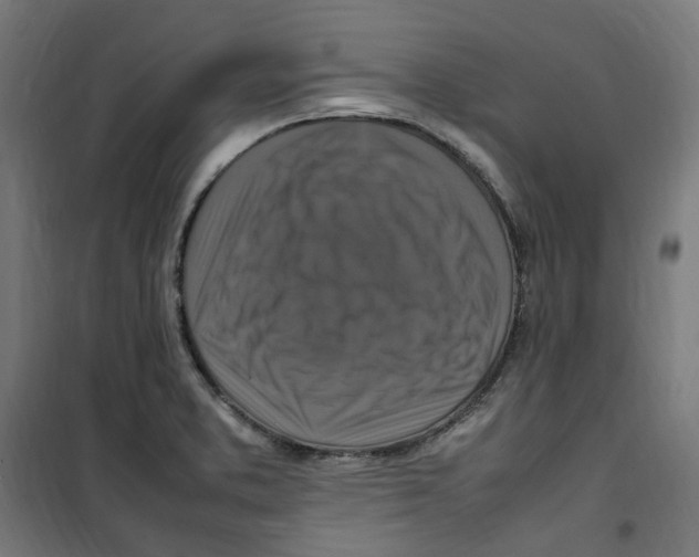 X0000100341373200807031248