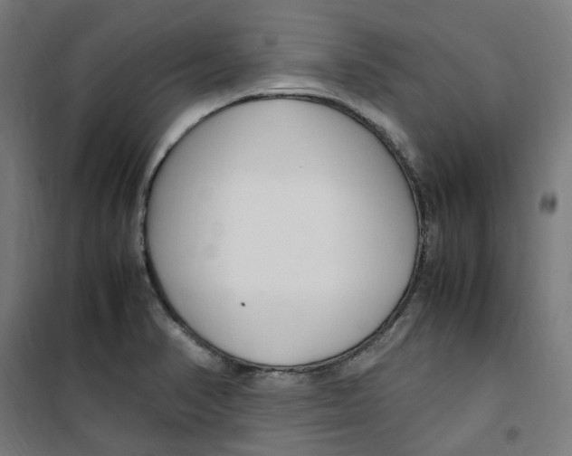 X0000100341374200807031248