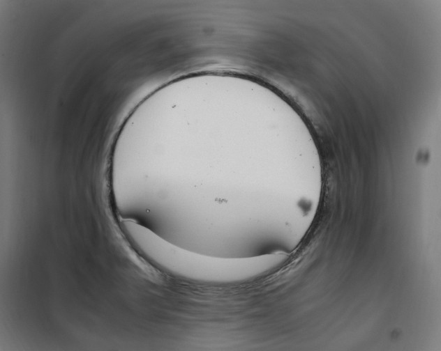 X0000100341375200807031248