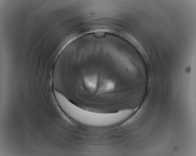 X0000100341377200807031248