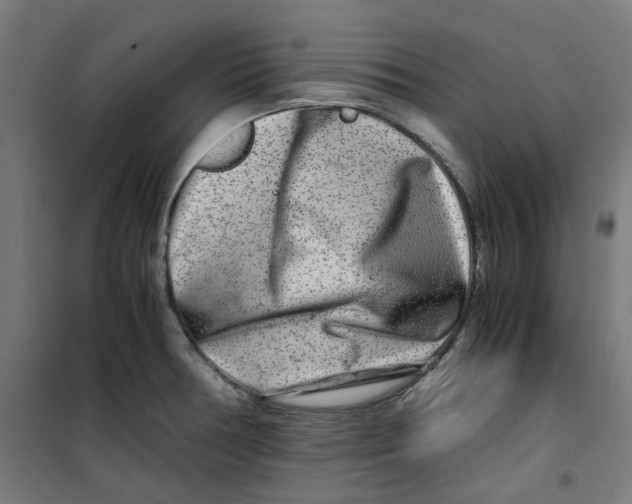 X0000100341378200807031248