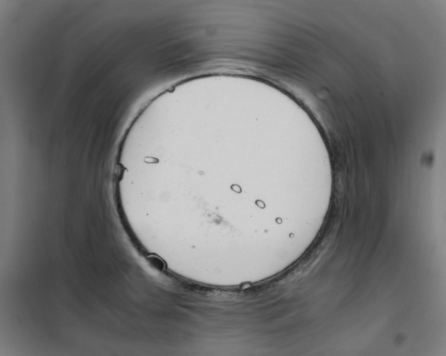 X0000100341379200807031248