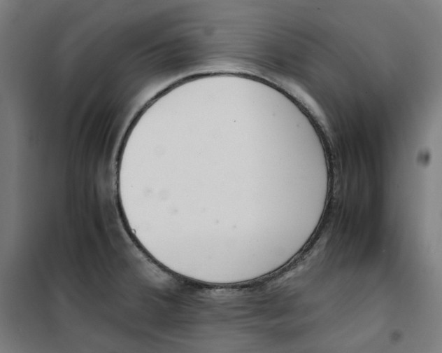 X0000100341380200807031248