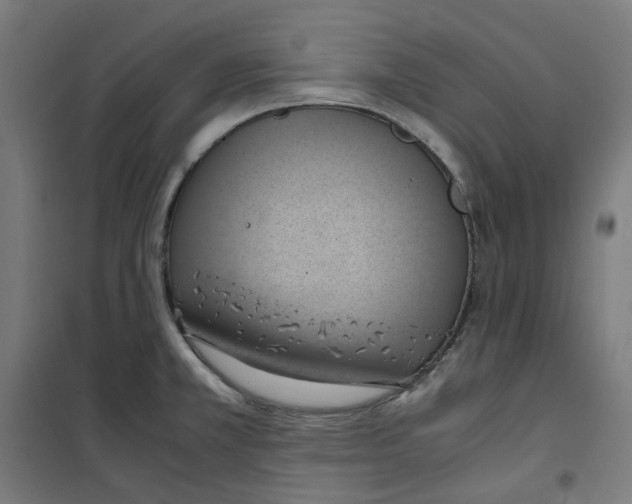 X0000100341381200807031248