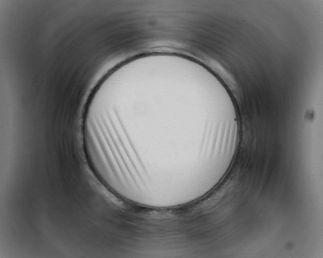 X0000100341384200807031248