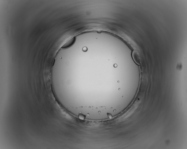 X0000100341385200807031248