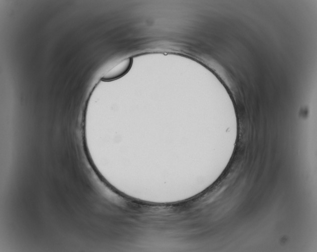 X0000100341387200807031248