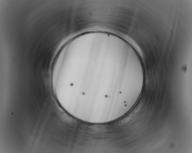 X0000100341388200807031248