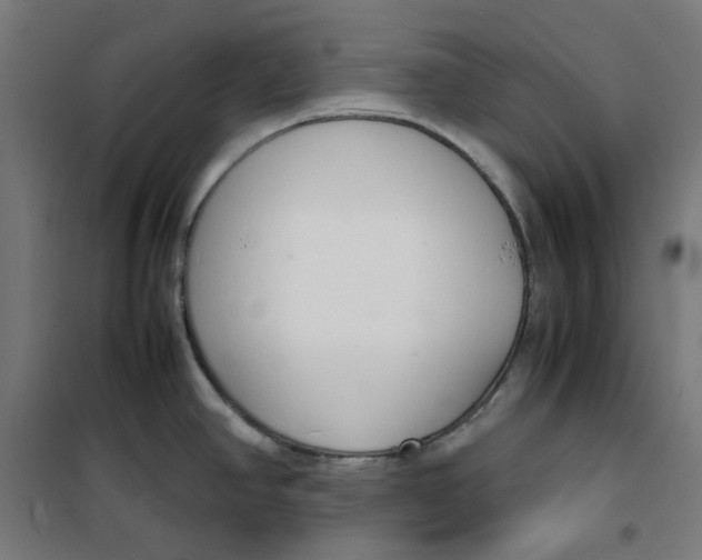 X0000100341390200807031248