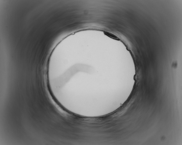 X0000100341391200807031248