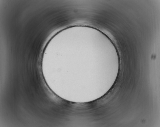 X0000100341392200807031248