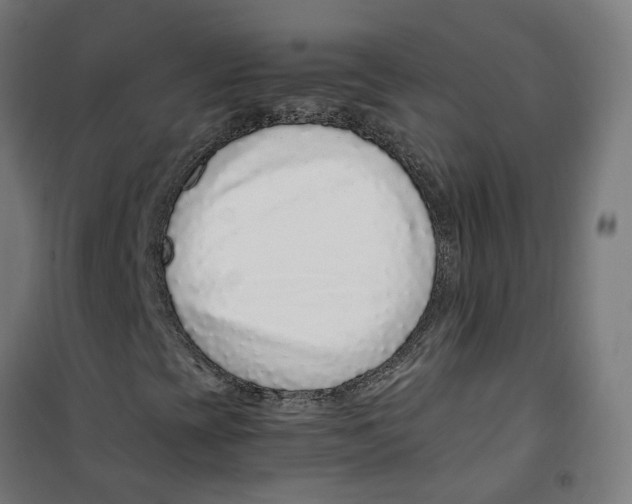 X0000100341393200807031247