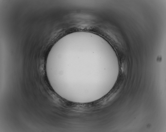 X0000100341396200807031247