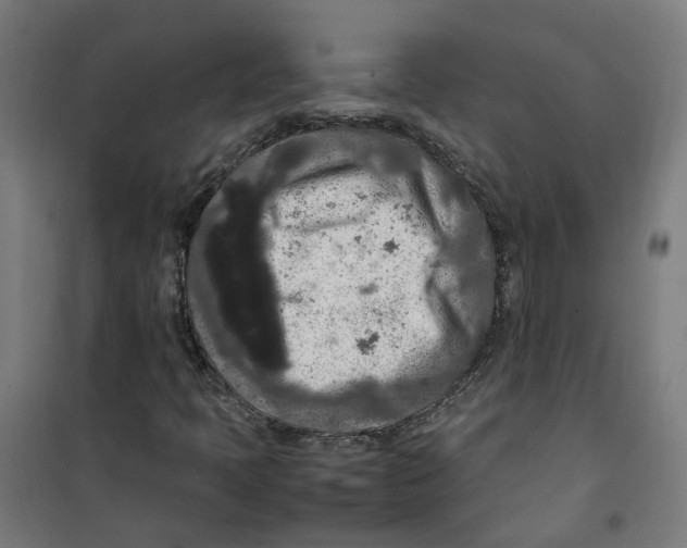 X0000100341397200807031247