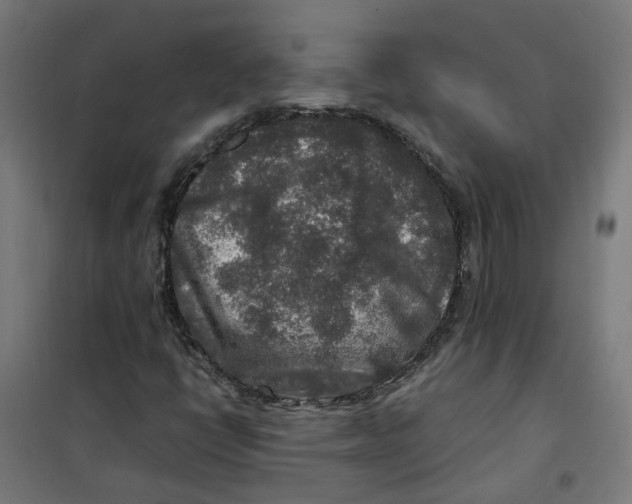 X0000100341398200807031247