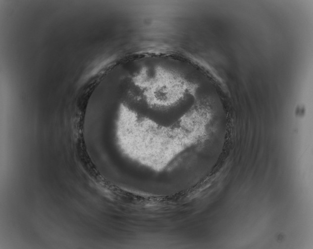 X0000100341399200807031247