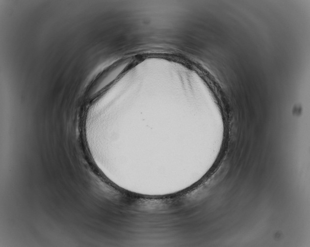 X0000100341402200807031247