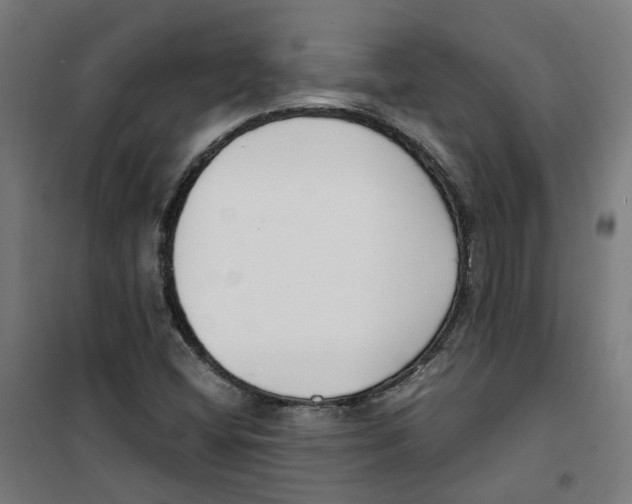 X0000100341404200807031247