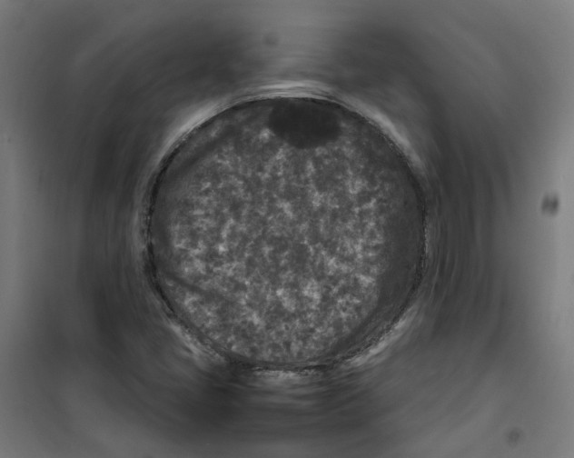 X0000100341405200807031247