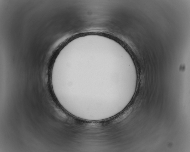 X0000100341406200807031247