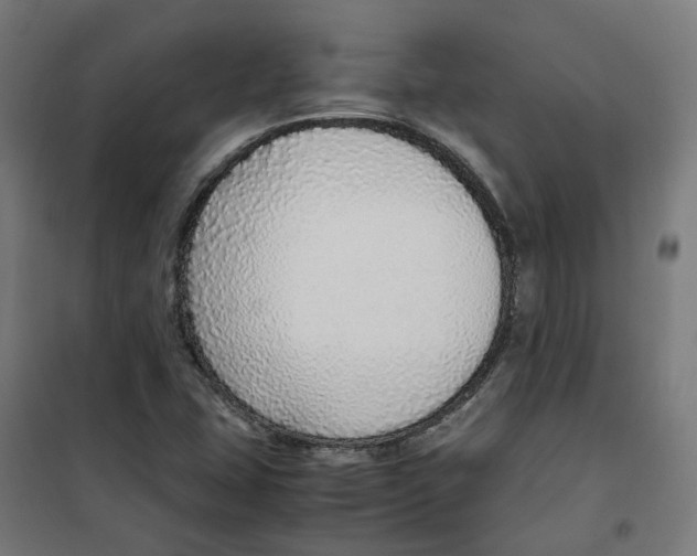 X0000100341407200807031247