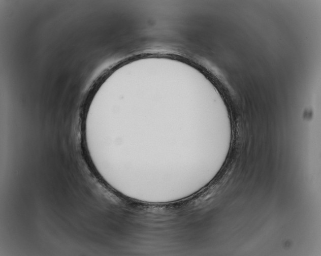 X0000100341408200807031247