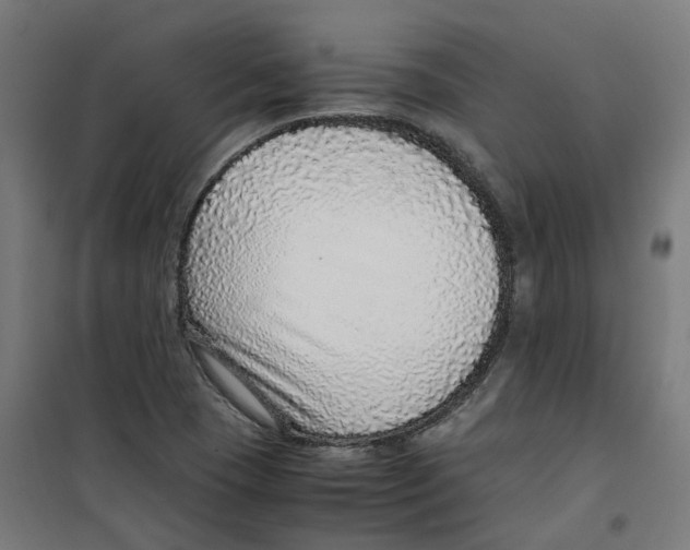 X0000100341409200807031247