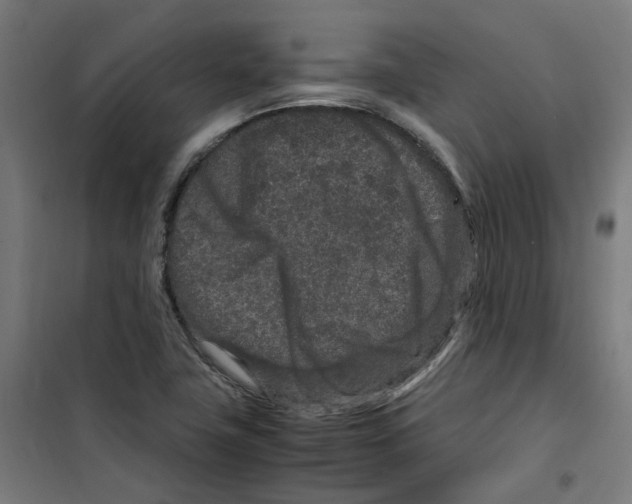 X0000100341411200807031247