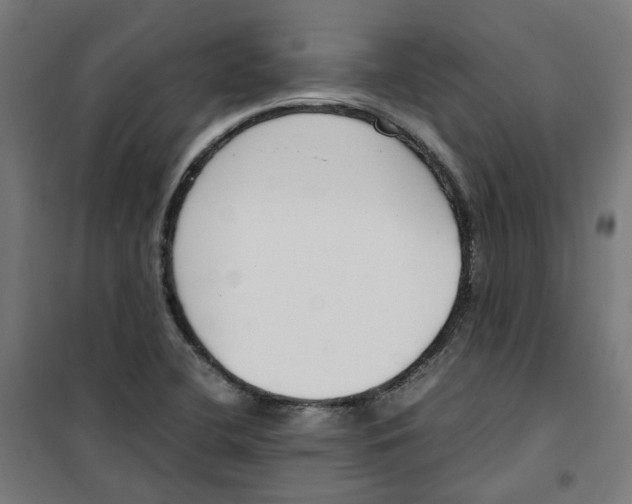 X0000100341412200807031247