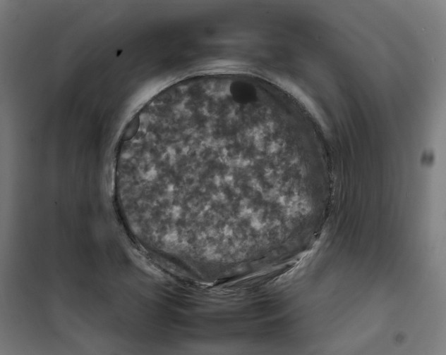 X0000100341413200807031247