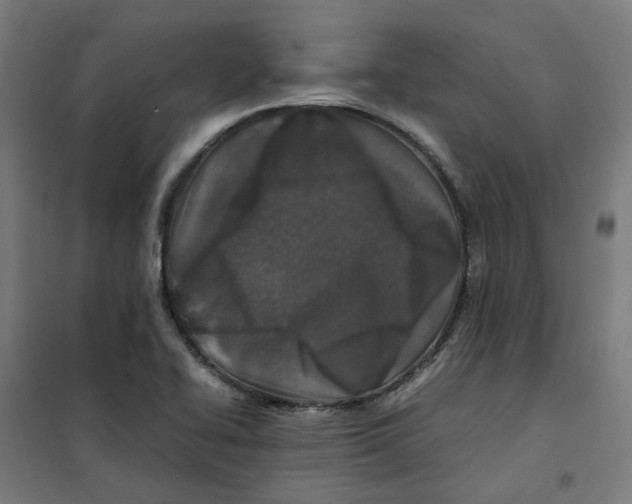 X0000100341414200807031247