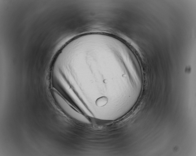 X0000100341415200807031247