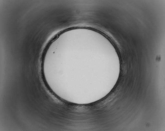 X0000100341416200807031247