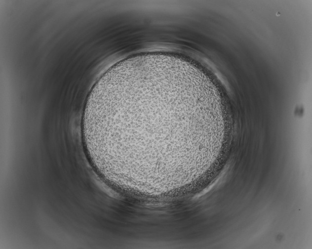 X0000100341417200807031248