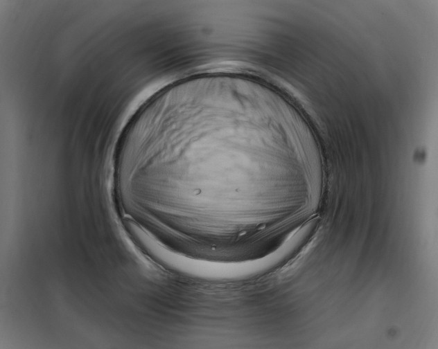 X0000100341418200807031248