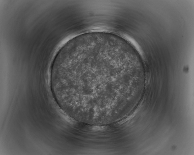 X0000100341419200807031248