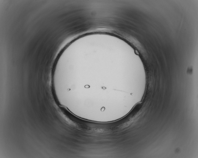 X0000100341420200807031248