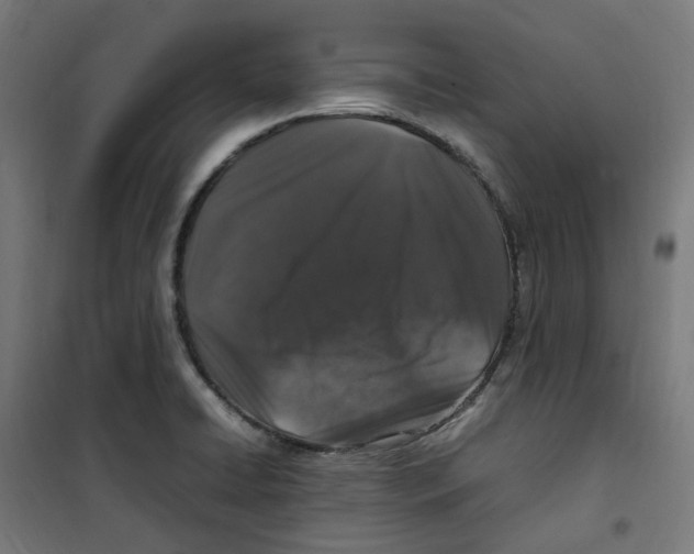 X0000100341422200807031248