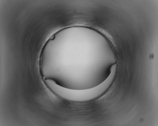 X0000100341423200807031248