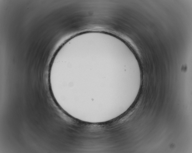 X0000100341424200807031248