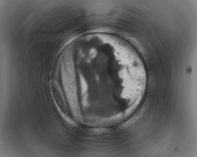 X0000100341425200807031248