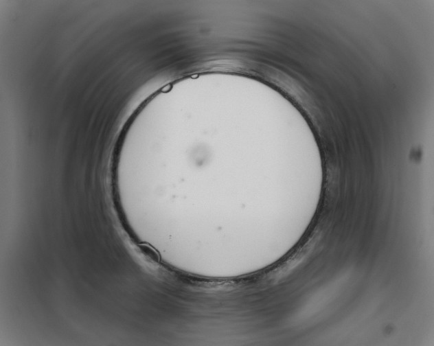 X0000100341426200807031248