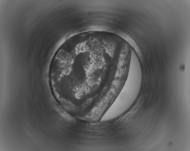 X0000100341427200807031248