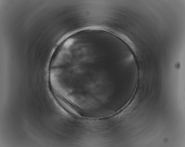 X0000100341428200807031248