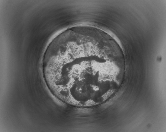 X0000100341429200807031248