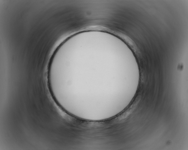 X0000100341430200807031248