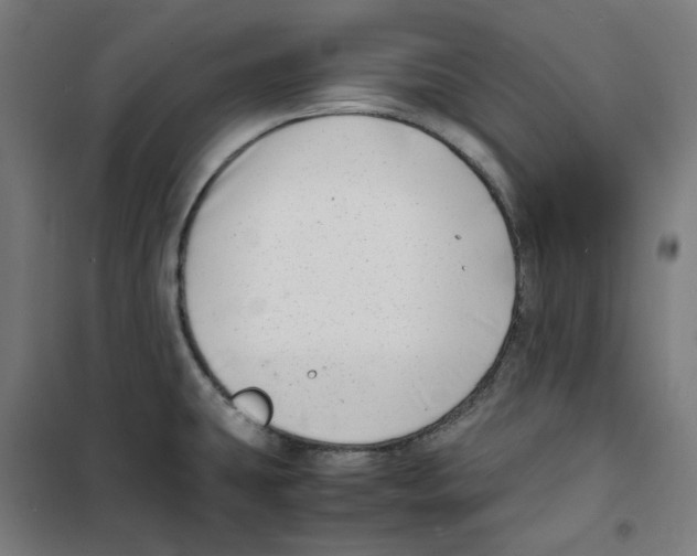 X0000100341431200807031248